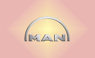 ✓ MAN 51.01201.0302 Запчасти МАН (MAN) 