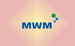 ✓ MWM 0403 4276 Запчасть MWM 